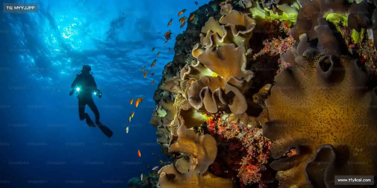 熊猫体育旧版🏓小球转动大梦想,拼搏成就每一刻!